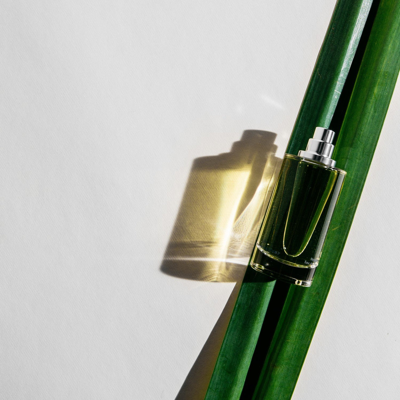 Abel White Vetiver – Fellow Barber